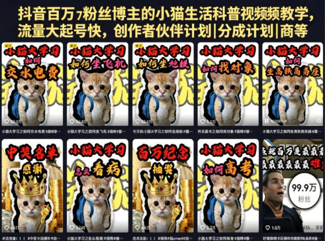 抖音百万粉丝博主的小猫生活科普视频教学，流量大起号快，创作者伙伴计划|分成计划|商单|收徒等|小鸡网赚博客