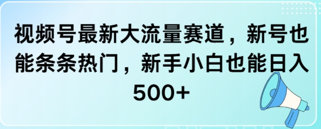 视频号最新大流量赛道，新号也能条条热门，新手小白也能日入5张|小鸡网赚博客