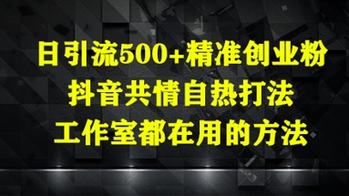 日引流500+精准创业粉，抖音共情自热打法，工作室都在用的方法|小鸡网赚博客