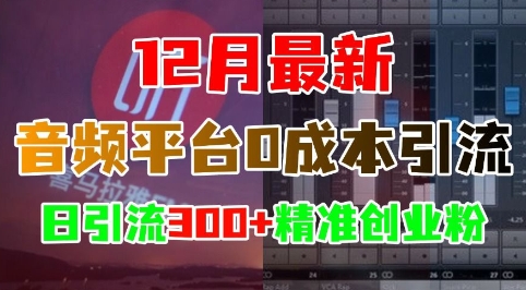 12月最新：音频平台0成本引流，日引流300+精准创业粉|小鸡网赚博客