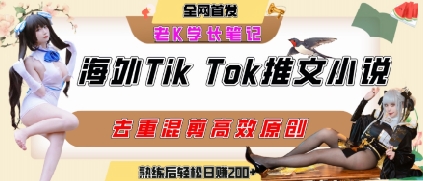 海外tiktok小说推文暴力项目，高停留率，高转化率，上手后一天搞顿饭钱不是问题|小鸡网赚博客