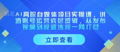 AI高阶自媒体项目实操课，讲透账号运营底层逻辑，从发布视频到规避违规一网打尽|小鸡网赚博客
