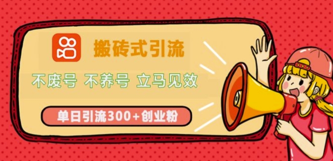 快手搬砖式引流，不废号，不养号，立马见效，单日引流300+精准创业粉|小鸡网赚博客