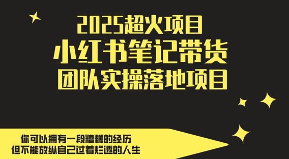 2025超火项目，副业最佳选择，小红书笔记带货团队实操落地项目，，轻松日入5张|小鸡网赚博客