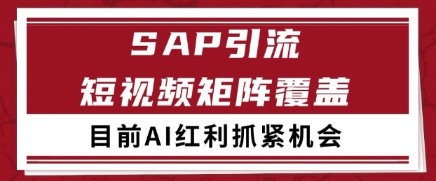 小红书某音sap赛道引流获客 自热矩阵日引200+【揭秘】|小鸡网赚博客
