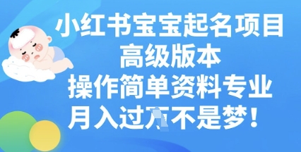 小红书宝宝起名项目高级版本，操作简单，资料专业，月入过W|小鸡网赚博客