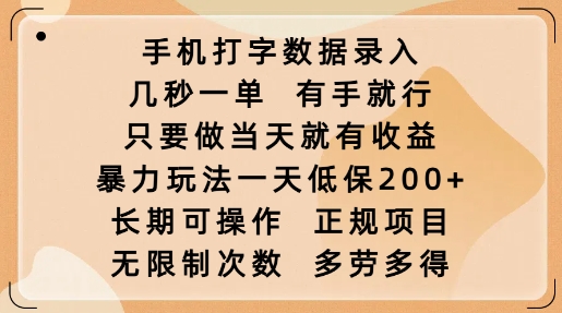 手机打字数据录入，几秒一单，有手就行，只要做当天就有收益，暴力玩法一天低保2张|小鸡网赚博客