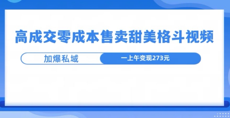 高成交零成本，售卖甜妹格斗视频，可以实现日入过k|小鸡网赚博客