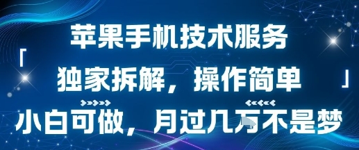 苹果手机技术服务，独家拆解，操作简单，小白可做，月过1W不是梦|小鸡网赚博客