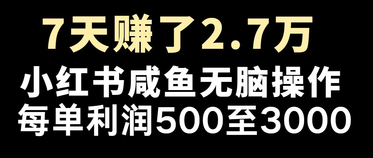 （14183期）最赚钱项目之一，2025爆火，逆风翻盘！|小鸡网赚博客