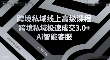 跨境私域线上高级课程，跨境私域极速成交3.0+Ai智能客服|小鸡网赚博客