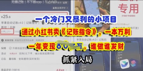 一个冷门需求，通过小红书卖《记账指令》，一本万利，谁做谁发，抓紧入局|小鸡网赚博客