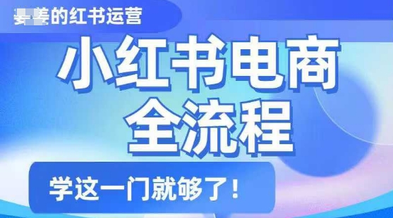 小红书电商全流程，精简易懂，从入门到精通，学这一门就够了|小鸡网赚博客