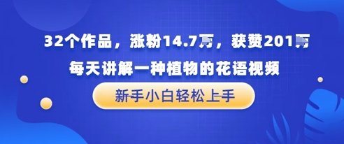 32个作品，涨粉14.7W，获赞201W，每天讲解一种植物的花语视频，无需任何技巧，新手小白轻松上手|小鸡网赚博客