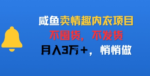 咸鱼卖情趣内衣项目，不囤货，不发货，月入3W+，悄悄做|小鸡网赚博客