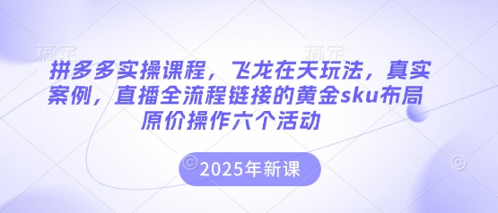拼多多实操课程，飞龙在天玩法，真实案例，直播全流程链接的黄金sku布局原价操作六个活动|小鸡网赚博客
