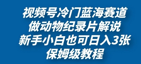 视频号冷门蓝海赛道，做动物纪录片解说，新手小白也日入3张，保姆级教程|小鸡网赚博客