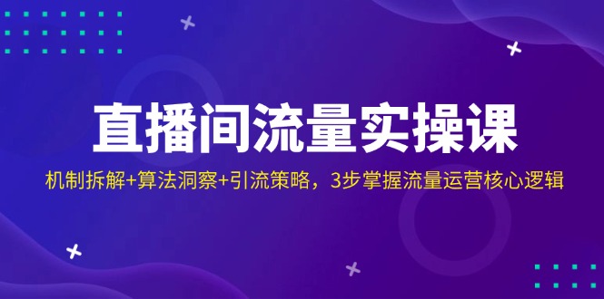 （14122期）直播间流量实操课：机制拆解+算法洞察+引流策略，3步掌握流量运营核心逻辑|小鸡网赚博客