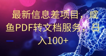 最新信息差项目，咸鱼PDF转文档服务，日入100+|小鸡网赚博客