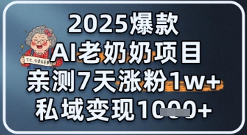 2025爆款 AI 老奶奶项目：亲测 7 天涨粉 1W+，私域变现 1k+|小鸡网赚博客