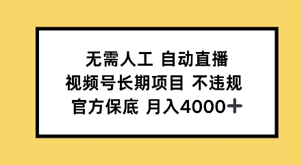 无需人工自动直播，视频号长期项目不违规，官方保底月入4000左右|小鸡网赚博客