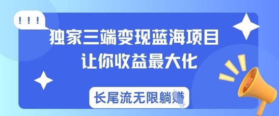 独家三端变现蓝海项目，让你收益最大化，长尾流无限躺挣|小鸡网赚博客