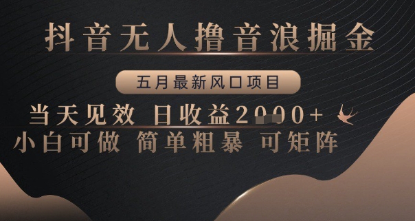 抖音无人撸音浪掘金，五月最新风口项目，当天见效，日收益多张，小白可做简单粗暴可矩阵【揭秘】|小鸡网赚博客