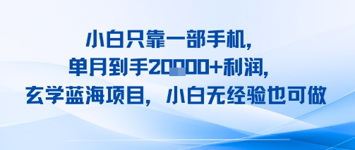 小白只靠一部手机，单月到手2W+利润，玄学蓝海项目，小白无经验也可做|小鸡网赚博客