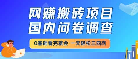 网创搬砖项目，国内问卷调查，小白轻松上手，一天三四张的也不难，干就完了【揭秘】|小鸡网赚博客