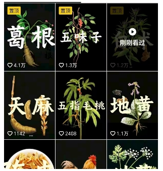 抖音中草药赛道，用AI做中草药故事视频，45条作品涨粉13W，橱窗带货猛猛出单|小鸡网赚博客