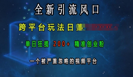 全新引流风口，跨平台玩法日入上k，单日狂揽200+精准创业粉，一个被严重忽略的视频平台|小鸡网赚博客