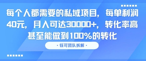 每个人都需要的私域项目，每单利润40米，月入可达3W+，转化率高 甚至能做到100%的转化|小鸡网赚博客