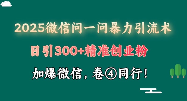2025最新微信问一问暴力引流术揭秘，日引300+创业粉，单日变现四位数|小鸡网赚博客