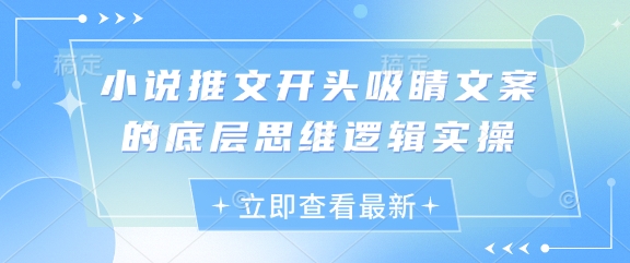 小说推文开头吸睛文案的底层思维逻辑实操|小鸡网赚博客