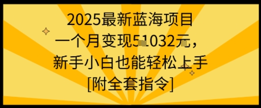 2025最新蓝海项目一个月变现1w+新手小白也能轻松上手【附全套指令】|小鸡网赚博客