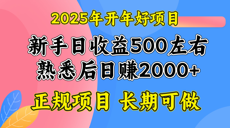 （14076期）2025开年好项目，单号日收益2000左右|小鸡网赚博客