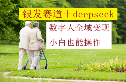 银发赛道+deepseek数字人全域变现，小白也能操作|小鸡网赚博客