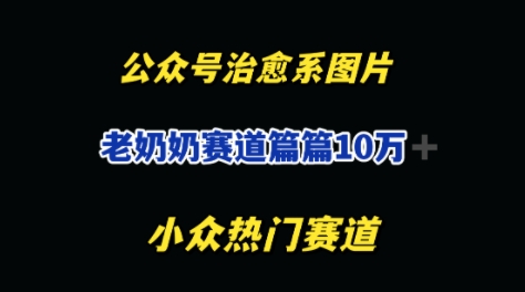 公众号老奶奶治愈系流量主，篇篇10W+|小鸡网赚博客