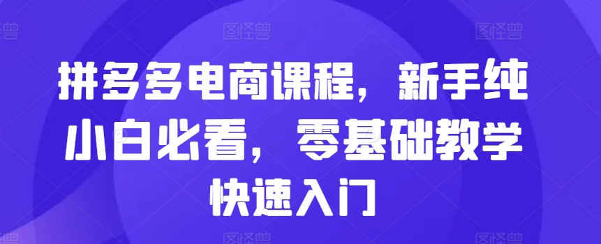拼多多电商课程，新手纯小白必看，零基础教学快速入门|小鸡网赚博客