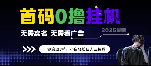 首码0撸挂G项目，无需实名无需看广告 一键启动运行，小白轻松日入三位数【揭秘】|小鸡网赚博客