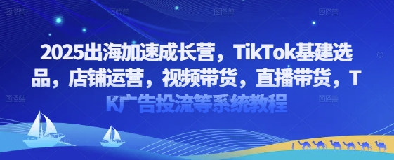 2025出海加速成长营，TikTok基建选品，店铺运营，视频带货，直播带货，TK广告投流等系统教程|小鸡网赚博客
