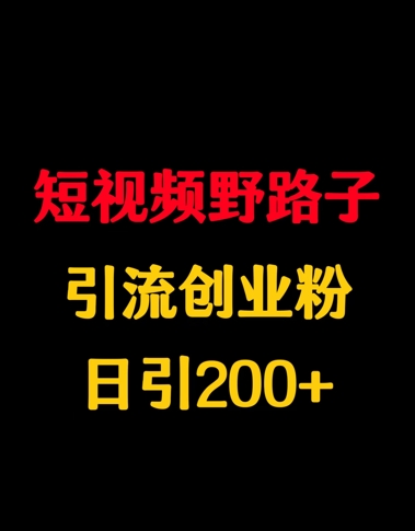 短视频野路子引流创业粉，日引200+|小鸡网赚博客