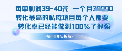 每单利润40一个月7k+转化最高的私域项目，每个人都要的产品转化率已经能做到100%|小鸡网赚博客