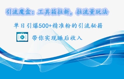 引流魔盒：工具箱拉新，拉流量玩法，单日引爆500+精准粉的引流秘籍|小鸡网赚博客