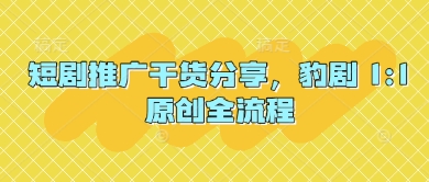短剧推广干货分享，豹剧 1:1原创全流程|小鸡网赚博客