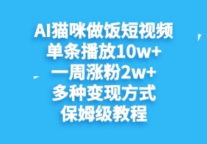AI猫咪做饭短视频，单条播放10w+，一周涨分2w+，多种变现方式，保姆级教程|小鸡网赚博客
