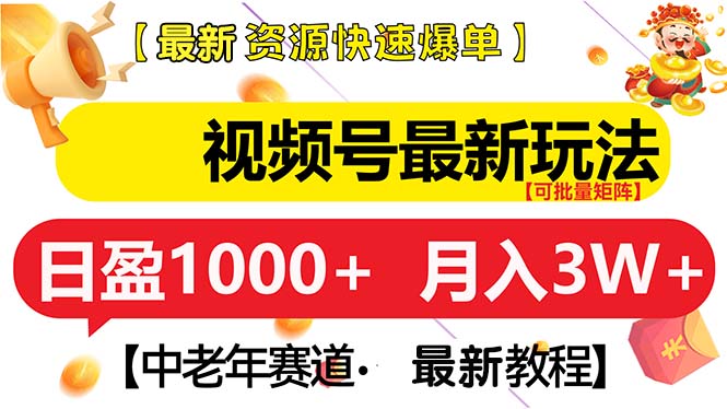 （13530期）视频号最新玩法 中老年赛道 月入3W+|小鸡网赚博客