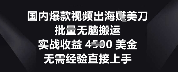 国内爆款视频出海挣美刀，批量无脑搬运，实战收益4.5k，无需经验直接上手|小鸡网赚博客