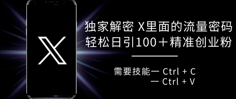 独家解密 X 里面的流量密码，复制粘贴轻松日引100+|小鸡网赚博客