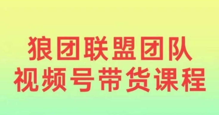 狼团联盟2024视频号带货，0基础小白快速入局视频号|小鸡网赚博客